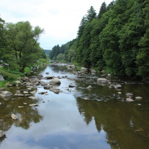 Stvořidla,dovča 2019 (1)